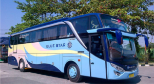 bus blue star