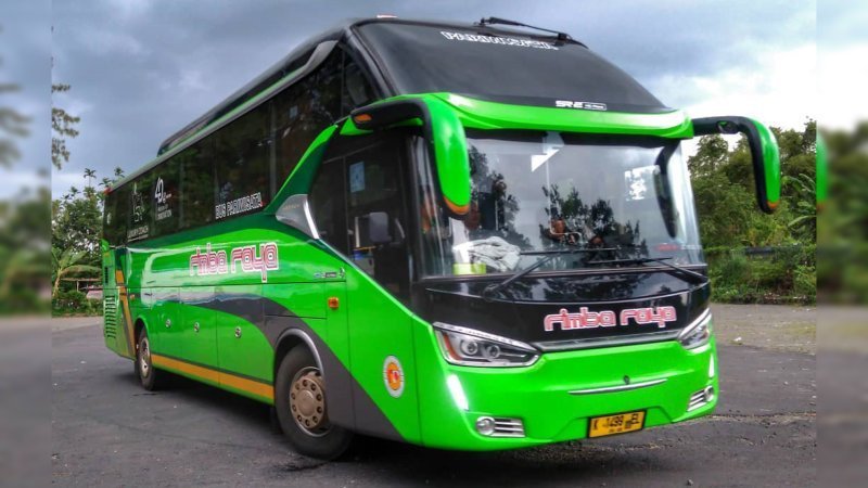 bus pariwisata rimba raya